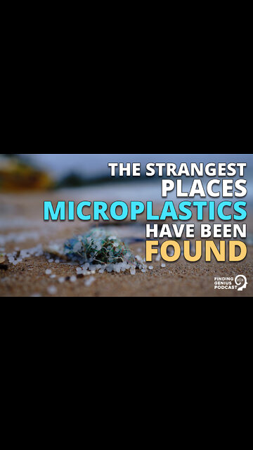The Strangest Places Microplastics Have Been Found #shorts