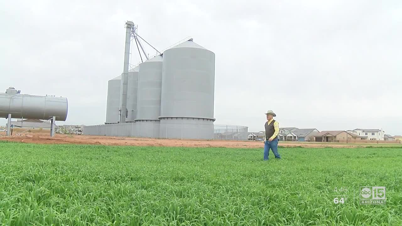 Gilbert farmers holding on to past while embracing landscape of the future