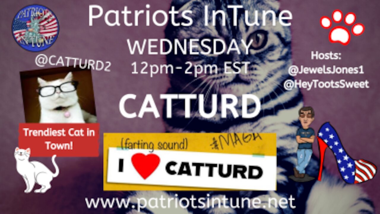 PATRIOTS IN TUNE Show #291: CATTURD - #CatturdForPresident - ilovecatturd.com 1/20/2020