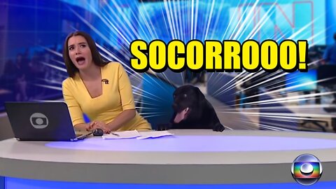 MOMENTOS QUE DERAM ERRADO NA TV! | Tente não rir