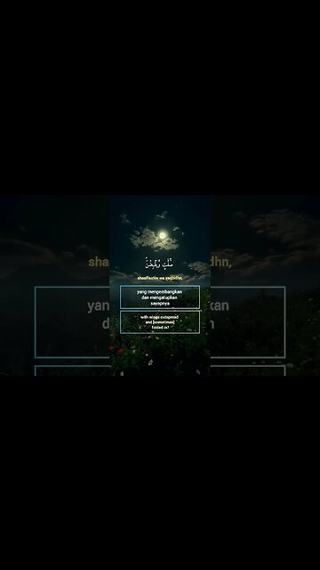 Surah Al-Mulk Ayat 19 . #alquran #quran #murottal