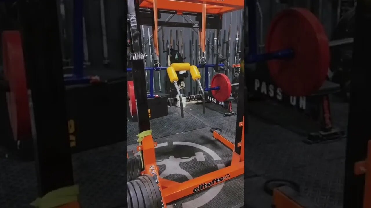 What’s In the Elitefts Gym?