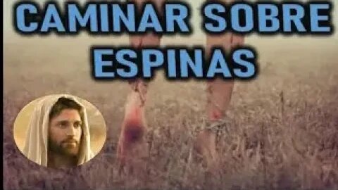 CAMINANDO SOBRE ESPINAS JESUCRISTO REY A DANIEL DE MARIA 1