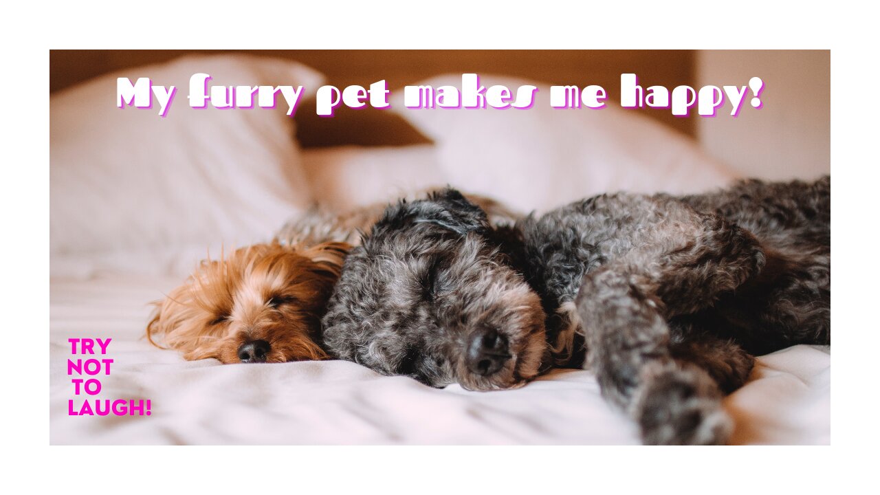 My furry pet makes me happy!