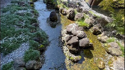 beautiful Japan🇯🇵 japanese public bathhouse