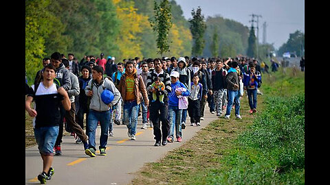 How has the Migrant Crisis Affected Public Education? (NYC Edition)