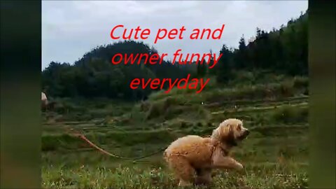 Cute pet and owner funny everyday