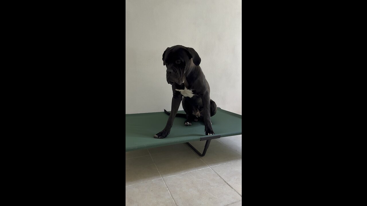 SAD #lord 😂😂😂❤️