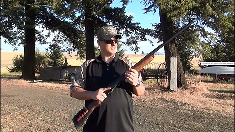 Remington 870 vs. Large Wasp Nest (HD)