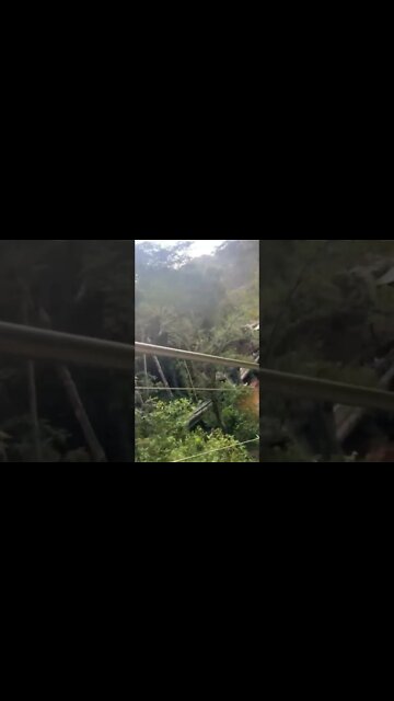 Da Lat Alpine Coaster