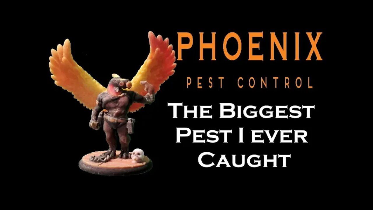 The Day I Caught the Biggest Pest of My Career! #whatbugsme | Phoenix Pest Control TN