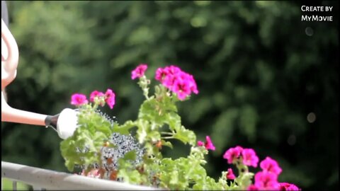 loveing with nature