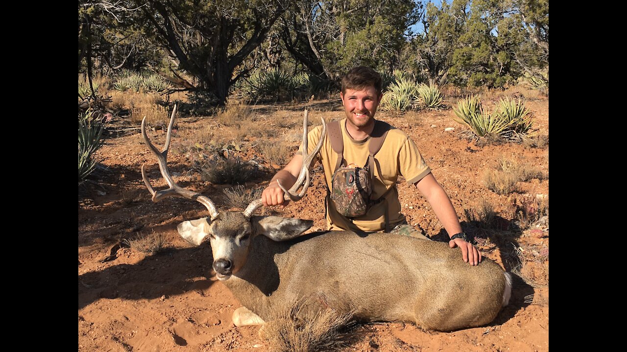 Kaibab buck hunt