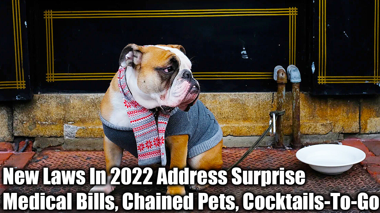 New Laws In 2022 Address Surprise Medical Bills, Chained Pets, Cocktails-To-Go - Nexa News