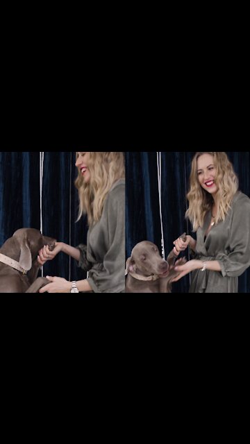 Dancing with dog lovely video