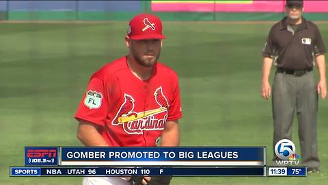 FAU's Austin Gomber promoted by Cardinals