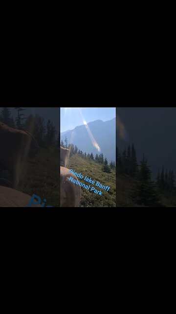 Bow Summit Banff National Park Alberta Canada Rockies 🇨🇦 BurnEye Hikes #shorts Summer fun