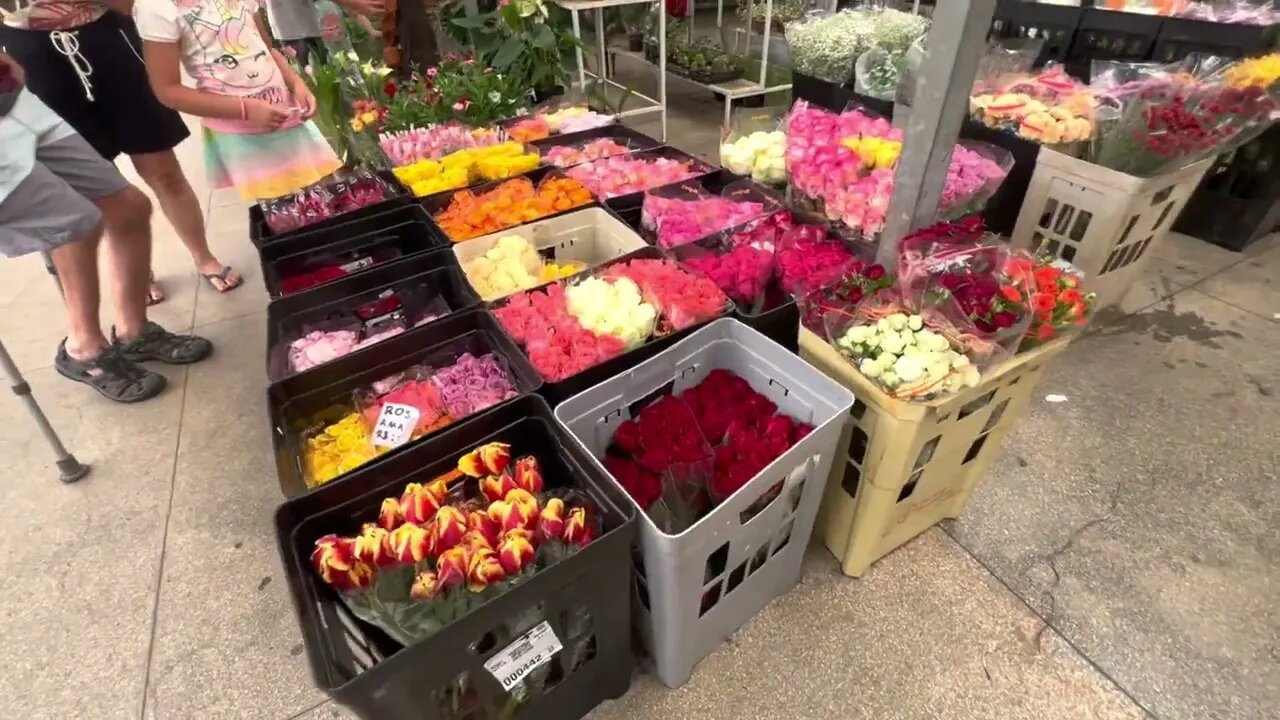 Central Flores, Ceasa de Brasília DF