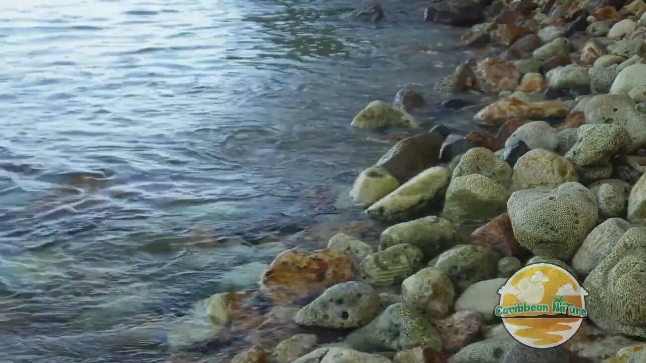 Calm ocean wave sounds washing on rocks at the beach .