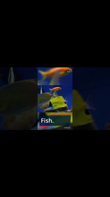 Healthy Foods To Eat Everyday to Live a Healthy Life. #shorts