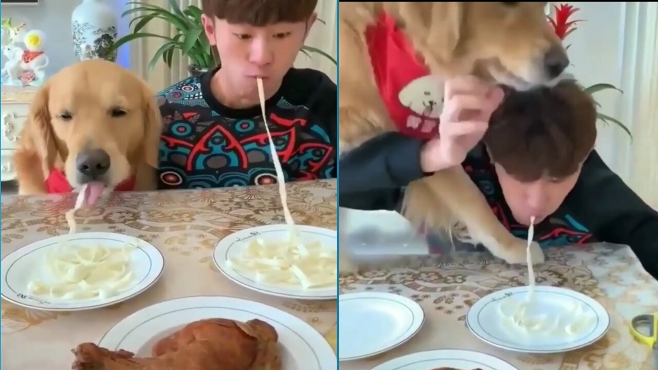 Man vs dog eating challenge