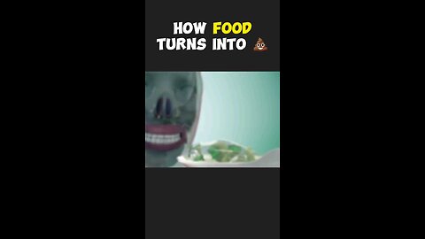 how food turns into💩