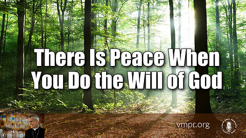 17 Jul 24, The Bishop Strickland Hour: There Is Peace When You Do the Will of God