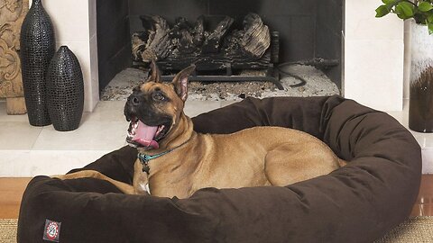 Suede Calming Dog Bed