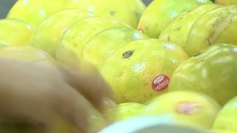 Citrus growers could see benefits to cold weather