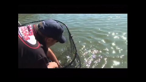 LakeMaster Musky on Kinkaid