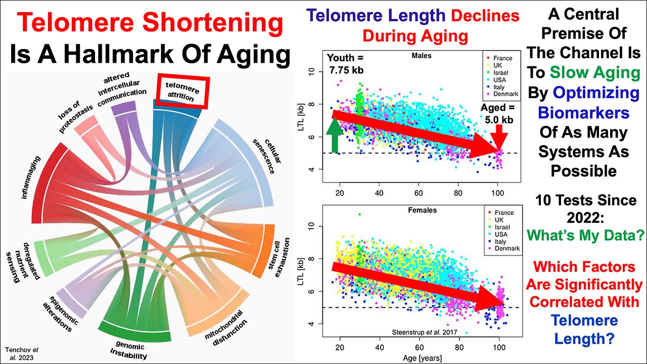 Telomere Length Test #7 in 2023: My Best Data Yet