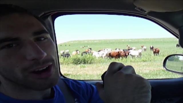 New Age Shepherd Uses A PA To Call The Cows