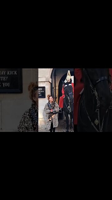 Biting bad mood #thekingsguard