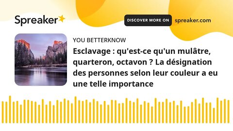 Esclavage : qu'est-ce qu'un mulâtre, quarteron, octavon ? La désignation des personnes selon leur co