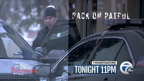 Wednesday at 11: Back on Patrol