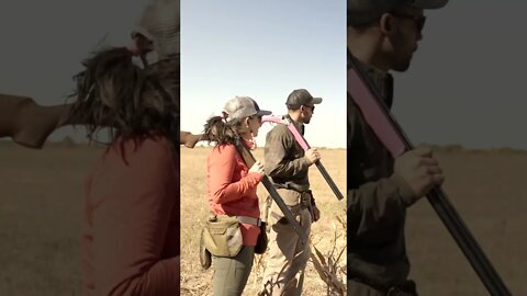 Couples Day, Training Upland Bird Dogs