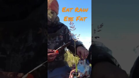 Eating Caribou Eye Fat!