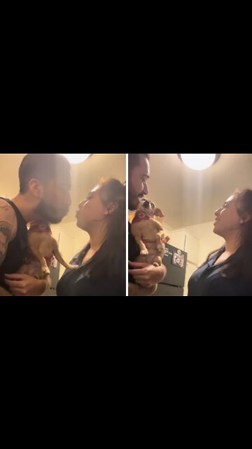 Jealous Pup Refuses To Let Her Owners Kiss