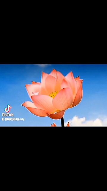 STRENGTH COMES WITH WAITING - DAILY DEVOTIONAL ❤️