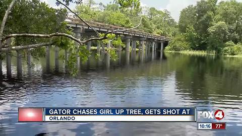 Florida teen chased up tree by alligator saved by hero deputy