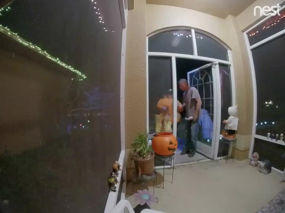 Caught on camera: Candy thieves at Cape Coral home