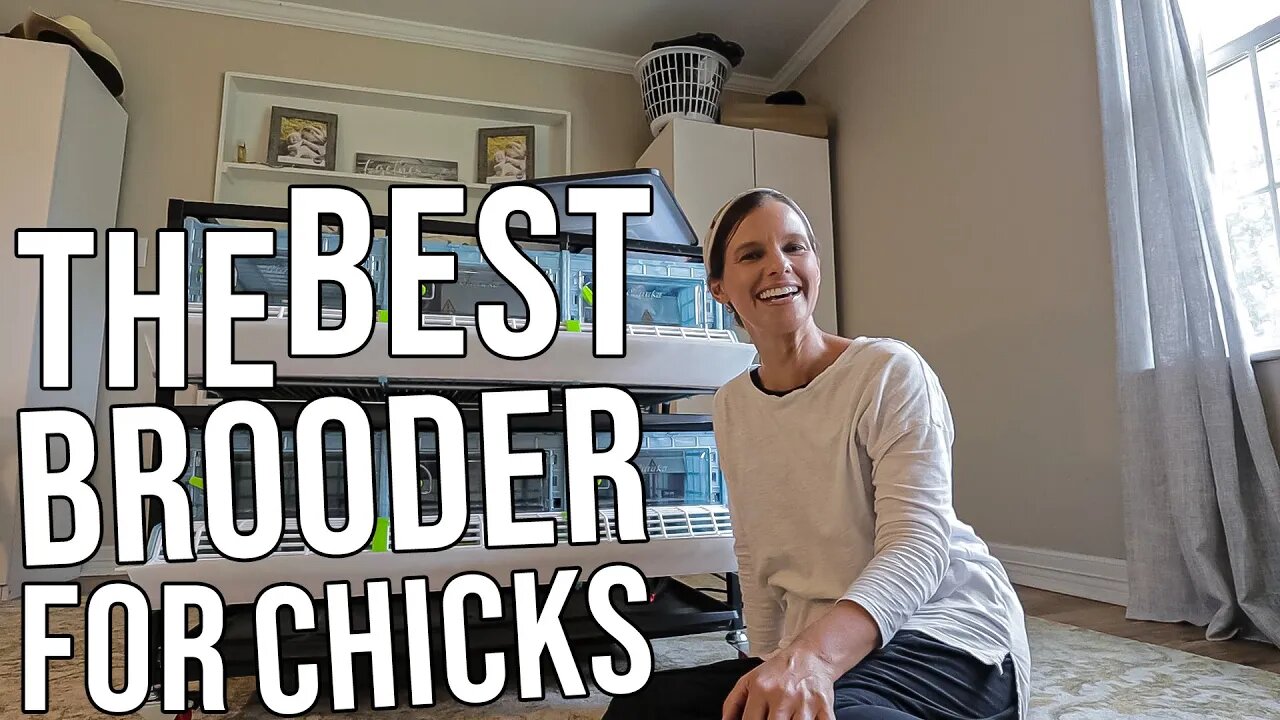 The Best Brooder For Chicks/ Hatchingtime Brooder/ Super Easy to assemble/ Family Life