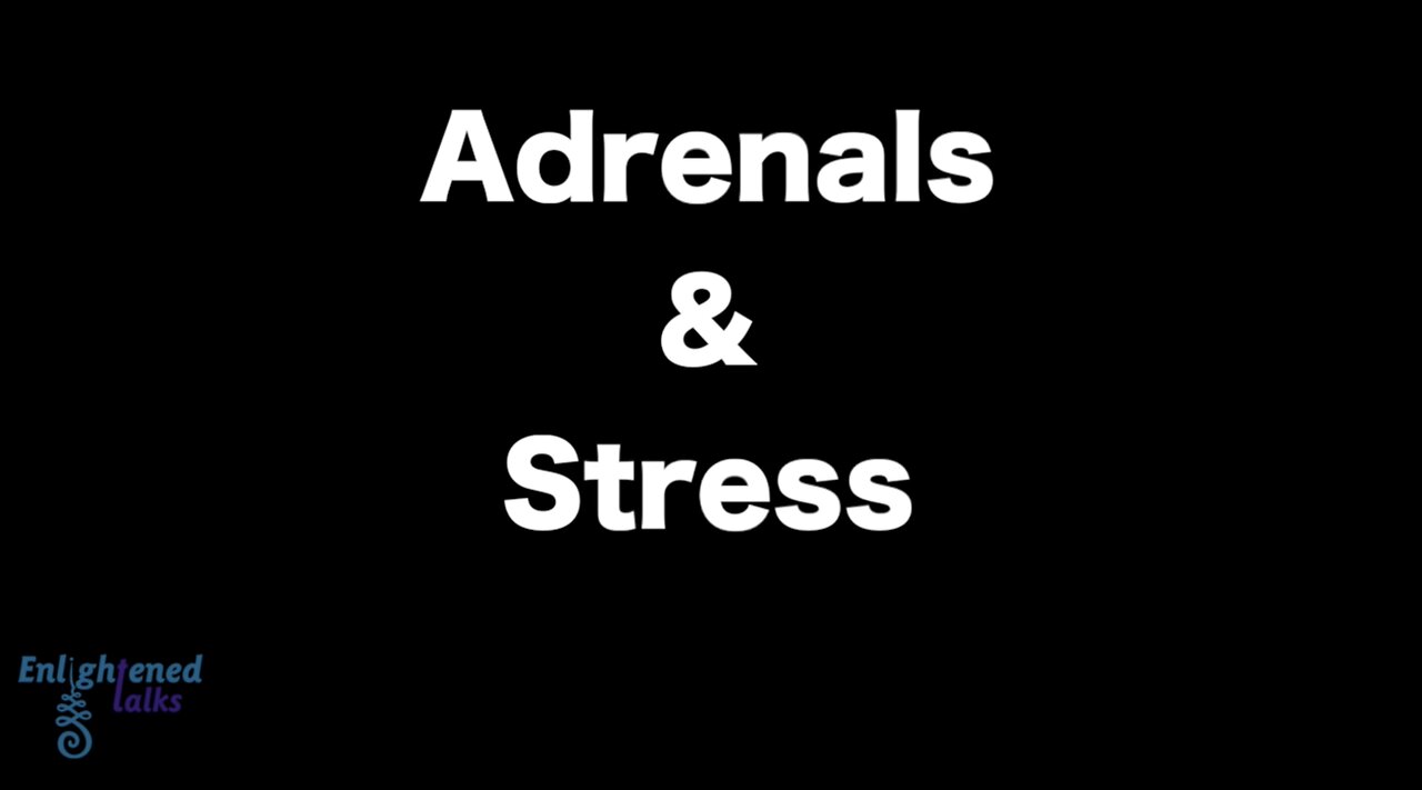 Adrenals & Stress