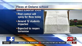 Officials: Terrace Elementary closed Thursday due to flea infestation in 'small number' of classrooms