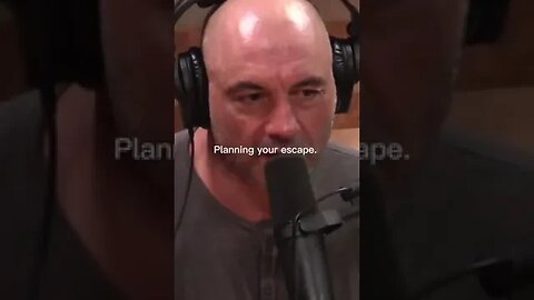 Joe Rogan Speaks #motivation #shorts #joerogan