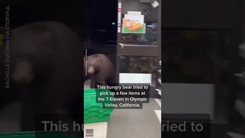 Bear 🐻 visits 7-11 😱