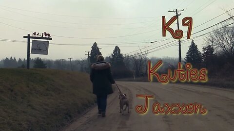 K9 Kuties: "Jaxxon"