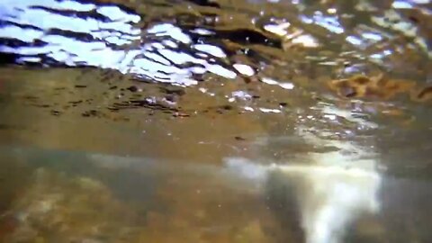 GoPro: Top 10 Underwater Moments