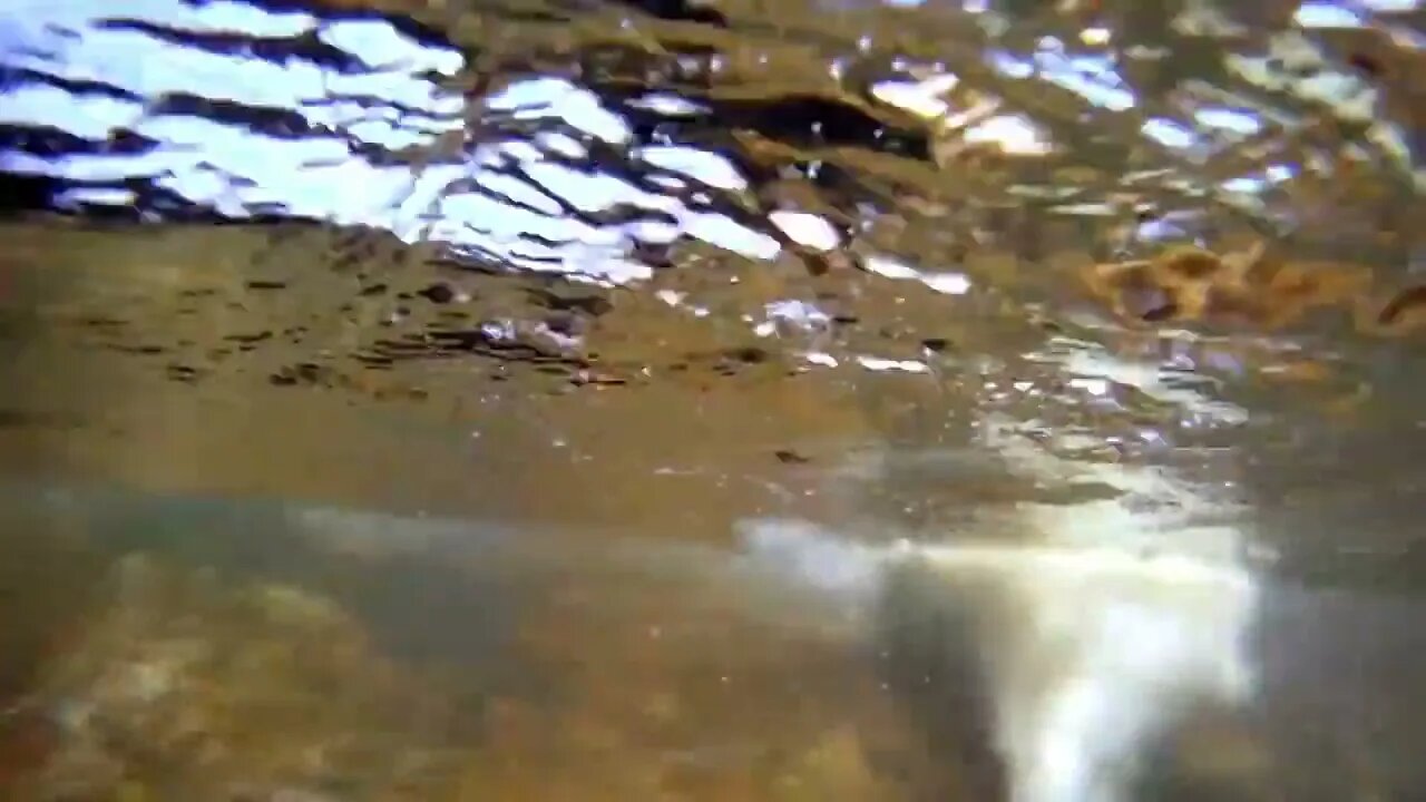 GoPro: Top 10 Underwater Moments
