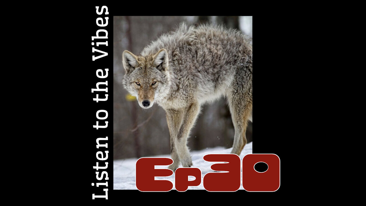 Listen to the Vibes Daily Devotion ep30